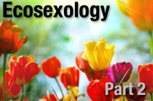 Ecosexology2