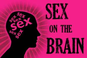 sex_brain